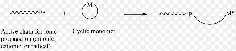 ֽ�����-������