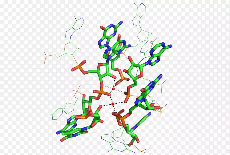 �ߵ�������-������