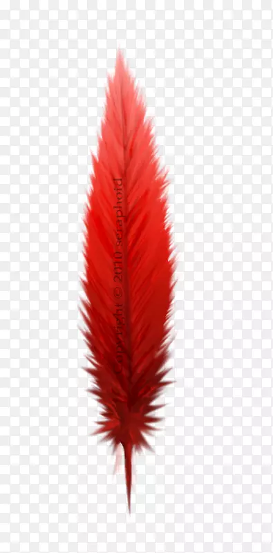 ������-������