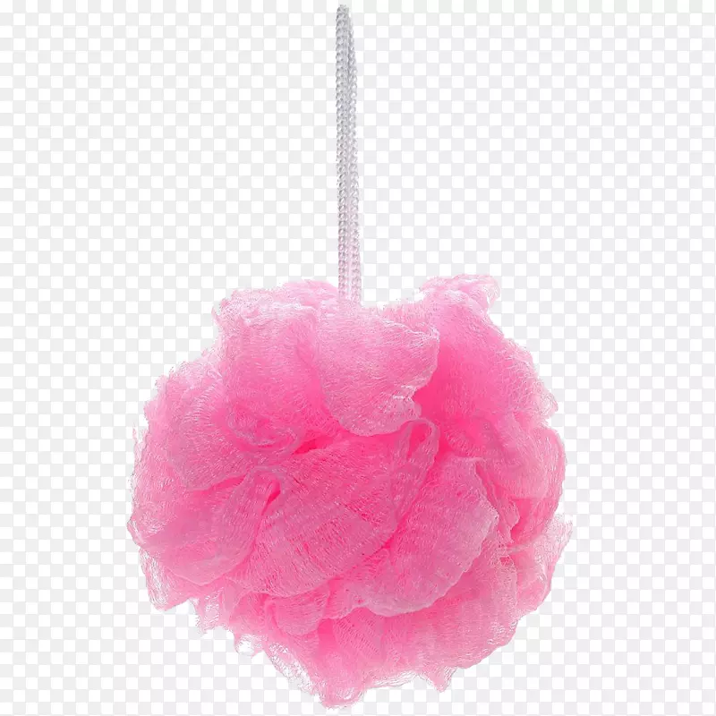 ֽ���������廨��ԡ��ԡ��ʵ��-������