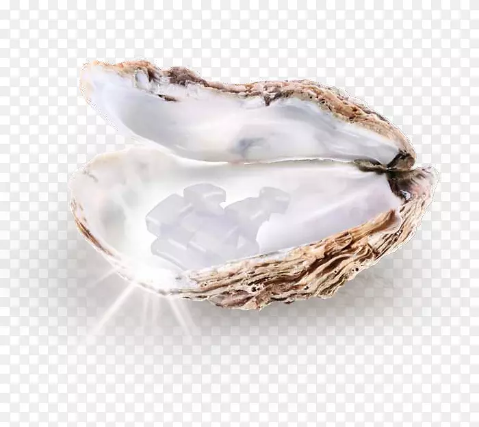 ���鱦ʯPinctada Maxima��ֳ���鱦ʯ-������