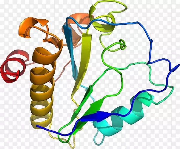 ���������л����߼�������-������