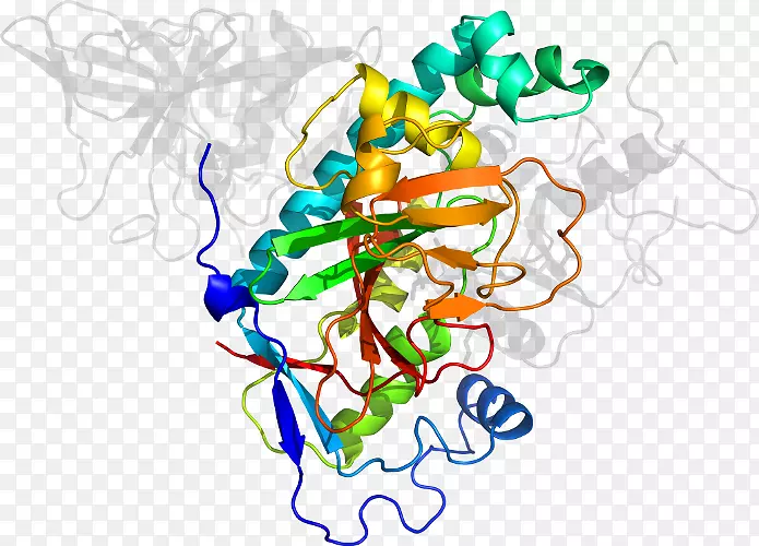 ƽ�������������-��-������