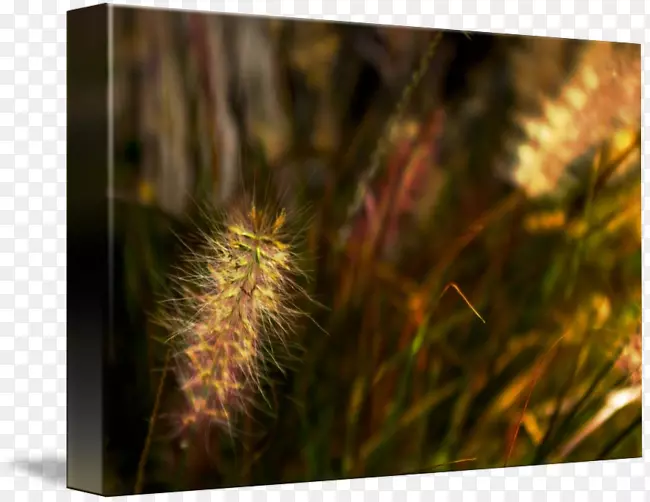 �ݽ��׼�ͥ-��-������