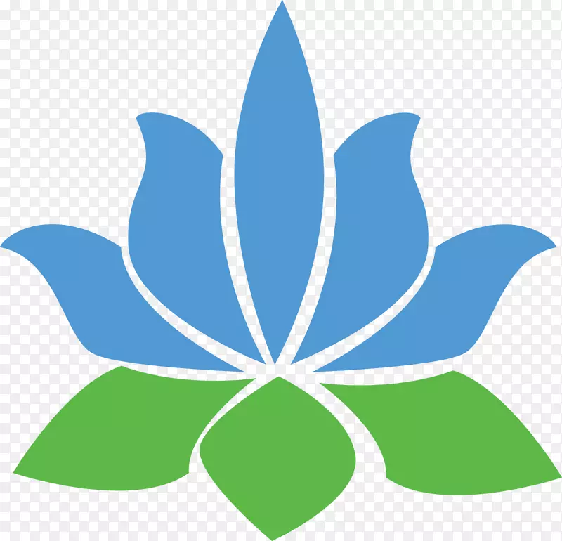 ����Ҷ�Գ�ֲ�ﾥ��Ҷ-������