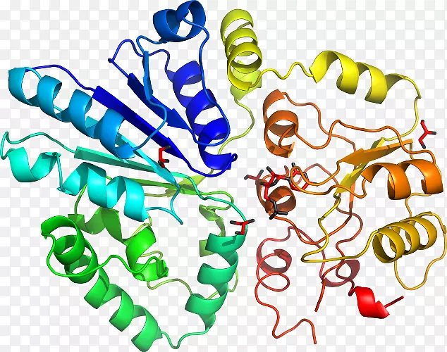 �л�����������Ϊ���������-������