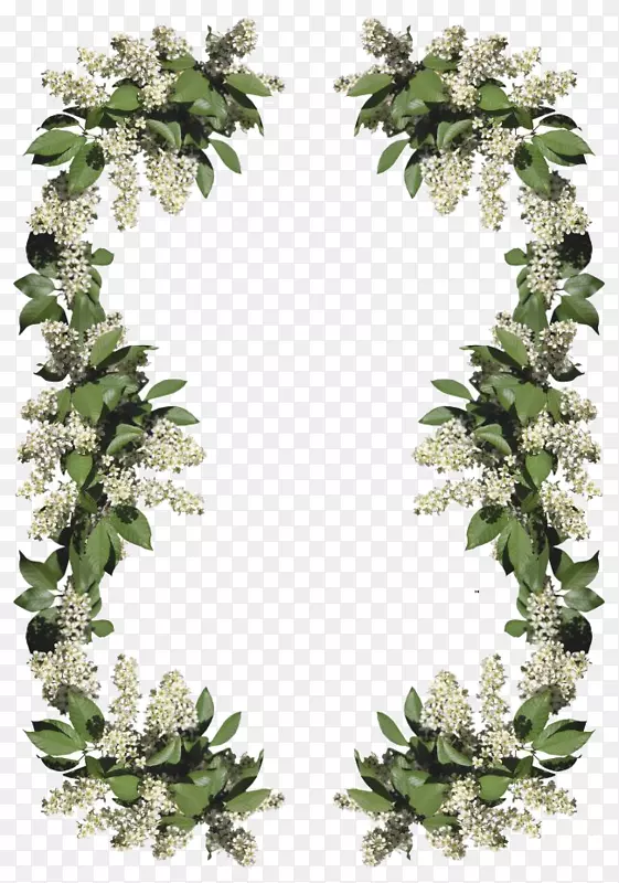 ������Ӱ.ֲ�ﻨ����Ե-������