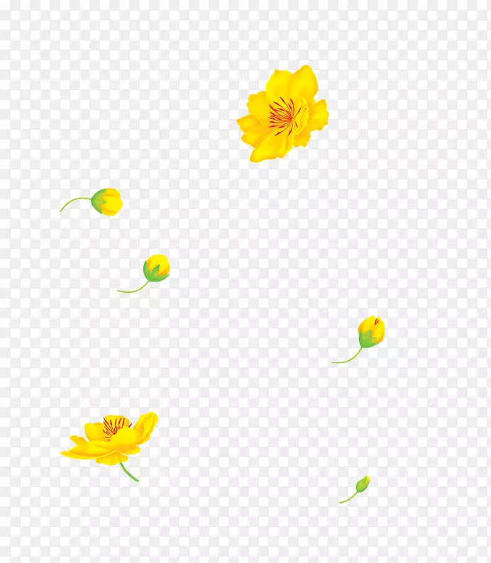 �����ֽ���Կ���ֲ������-Hoa MAI-������