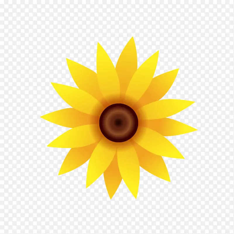 ��ͨ���տ�ֲ�����տ��������տ�ֲ��-������