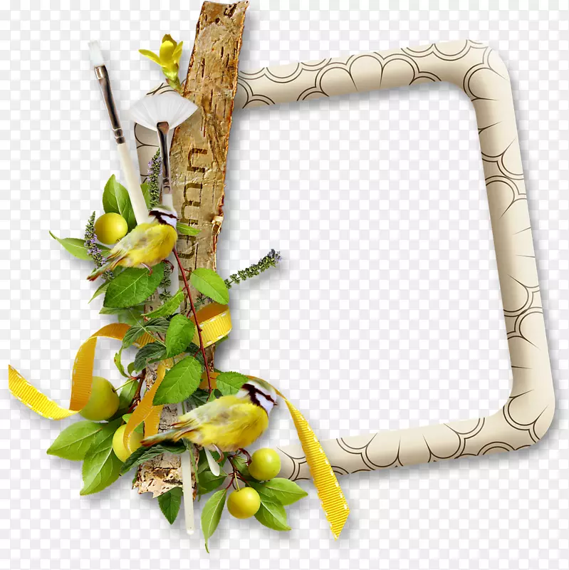 ɳĮ���-������