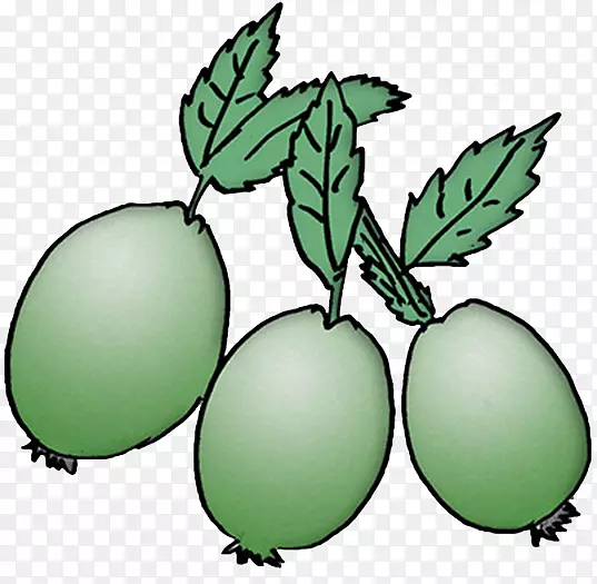 ����ֲ��Ҷֲ�ﾥ��������Ҷ-������