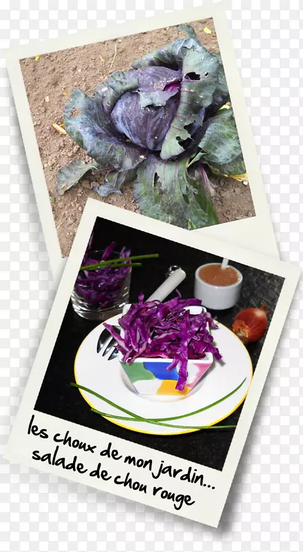 �;ߣ��룬�����������壬��ͷ���������-����-������