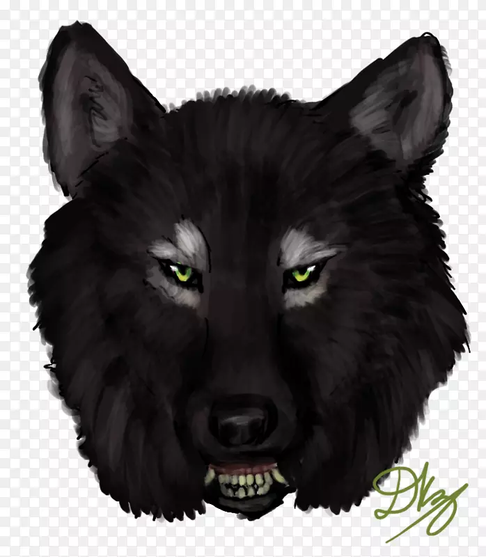 ���Ǻ��룬���ӣ�ëƤ����-����-������