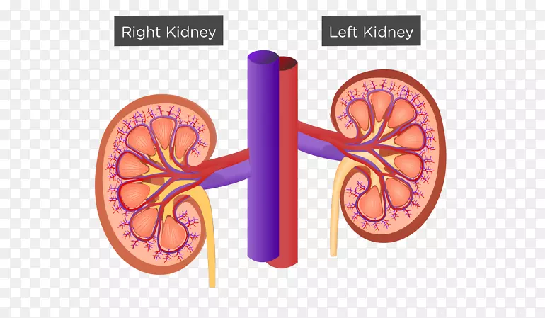 ������������йϵͳ���-������