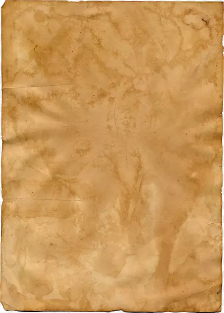 ��ľ��Ⱦɫ����ɫ�������-������