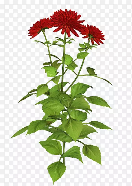 ͸���Ͱ�͸��������Ѷ΢��-������