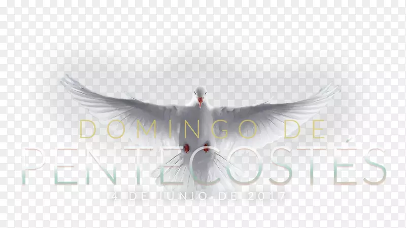 �����ֽ����-������