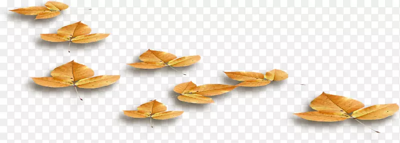 �����＾��Ѷ��Ӱ-�＾-������