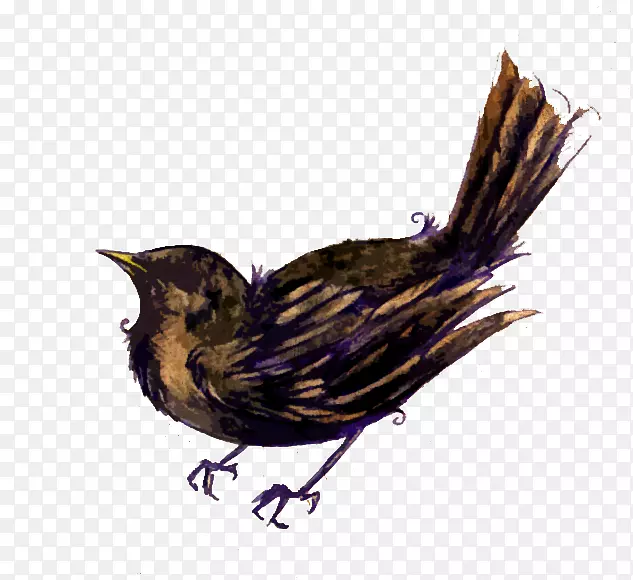 ���ӥ����Ϊʳ��-��ë-������