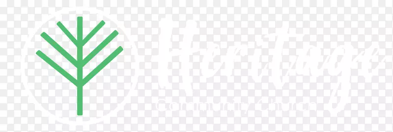 Ҷ���ֲ�ﾥ����Ҷ-������