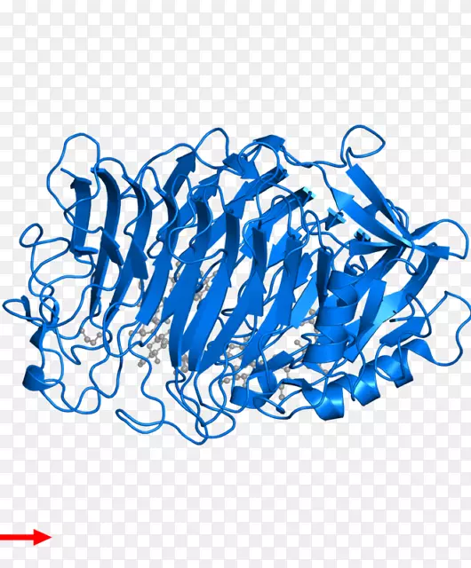 �ߵ������-��-������