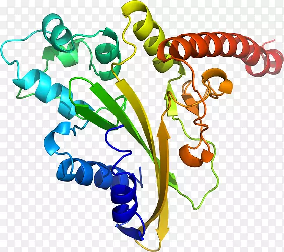 �����鱦�����߼�������-������