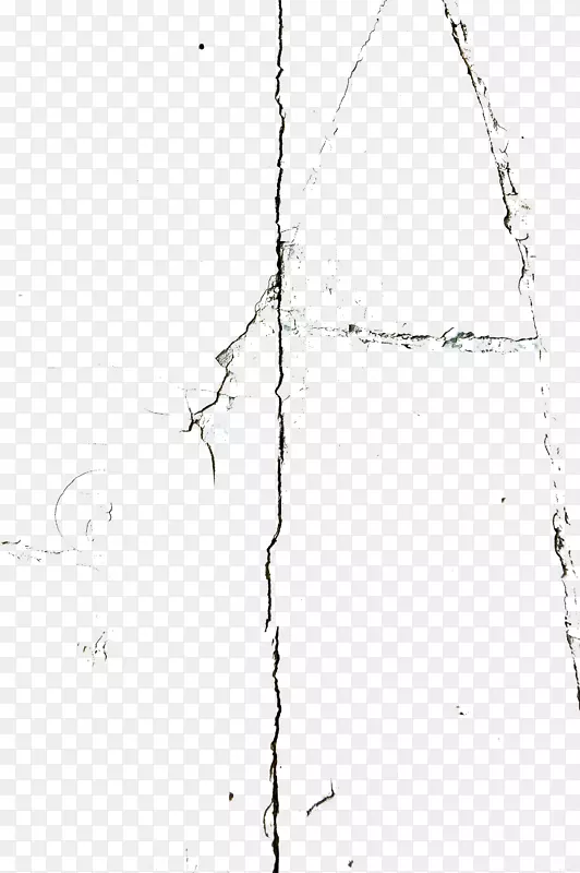 ��ɫ�Գ��ͱ���������-������