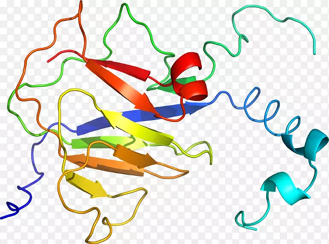 �ߵ������������-������