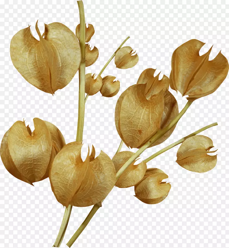 ���Ĳ���ͨѶ-������