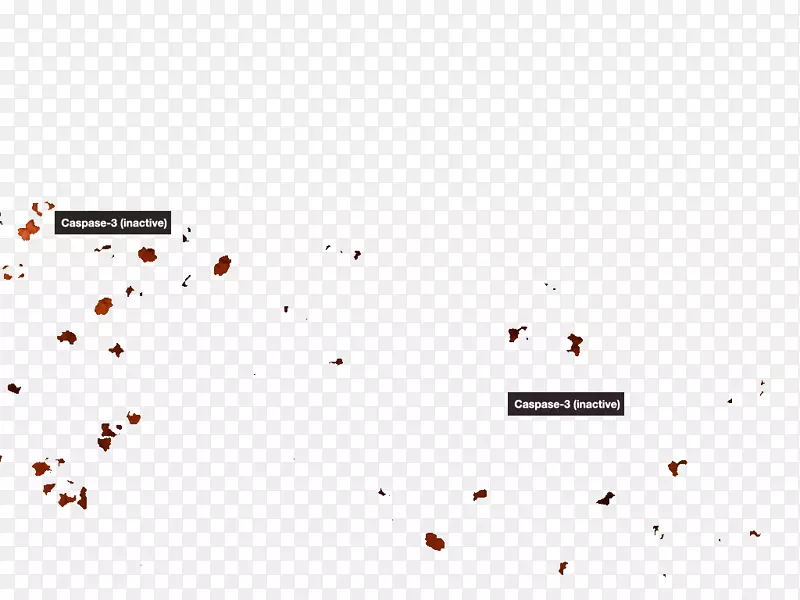 �ߵ�������-������