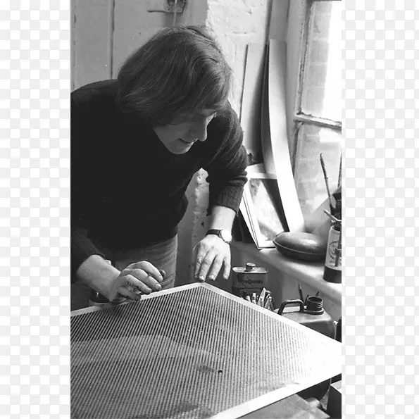 ���ϵذ廨�����-������