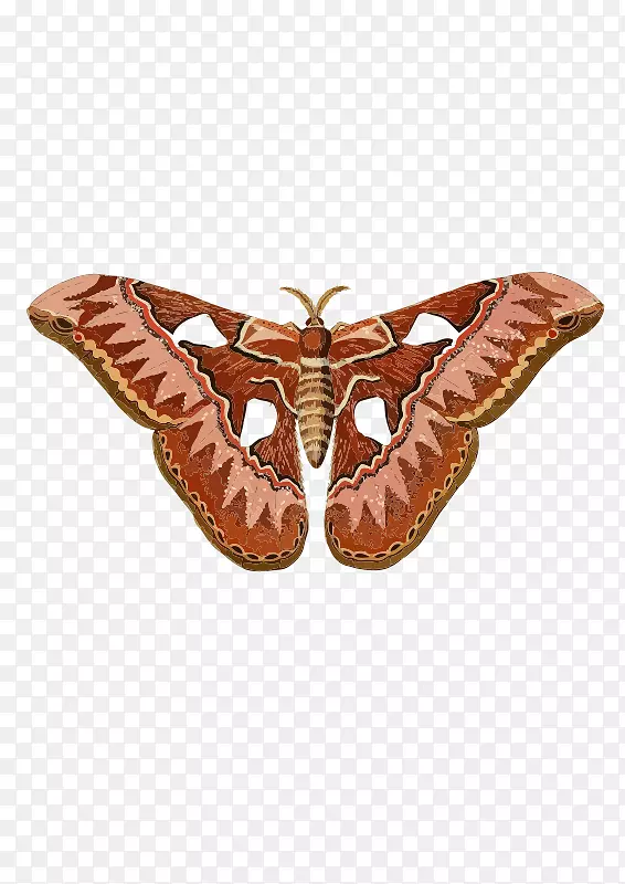 ���������������-����-������