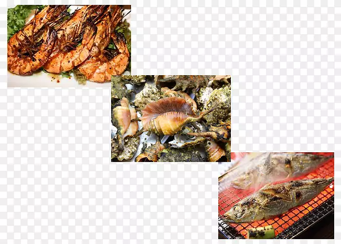 ��̲���ʻ�����ɱ�-ɳ̲-������