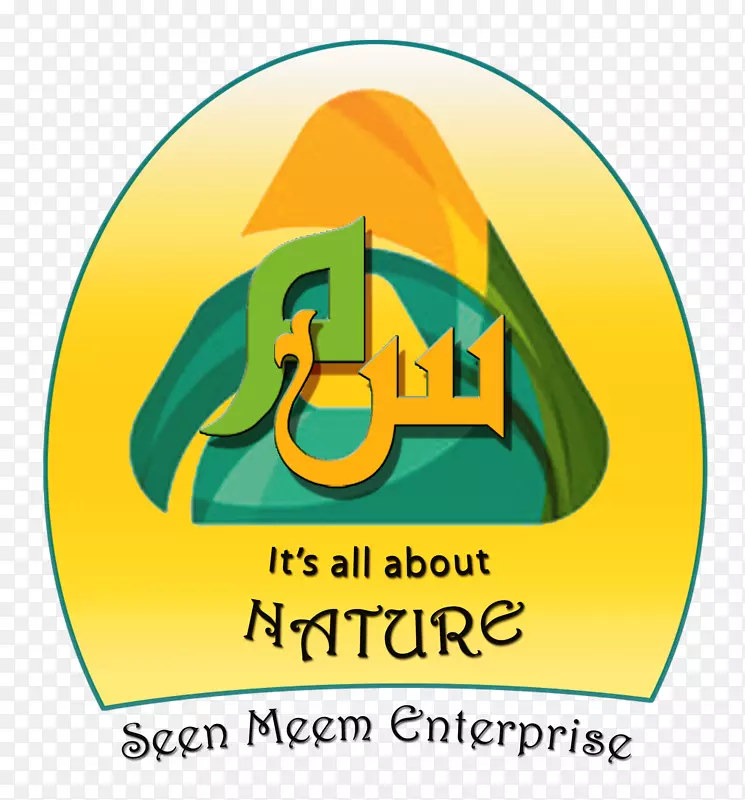 �̱�����-����-������