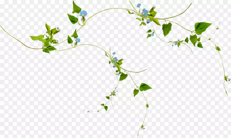 �������-������