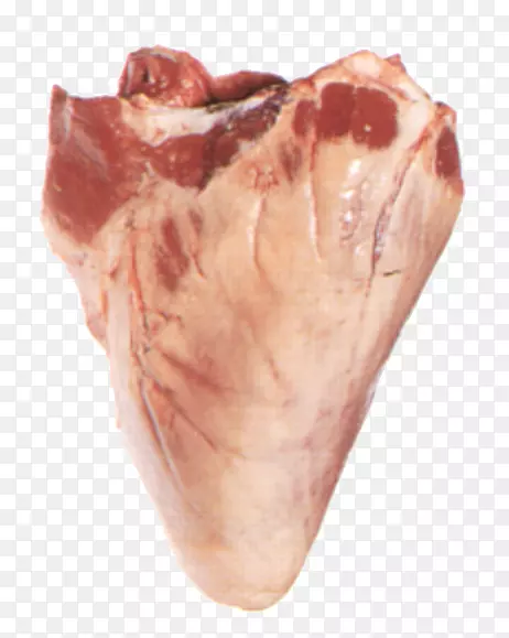 �Ĵ�����Ұ����������˾����������İ�-����-������