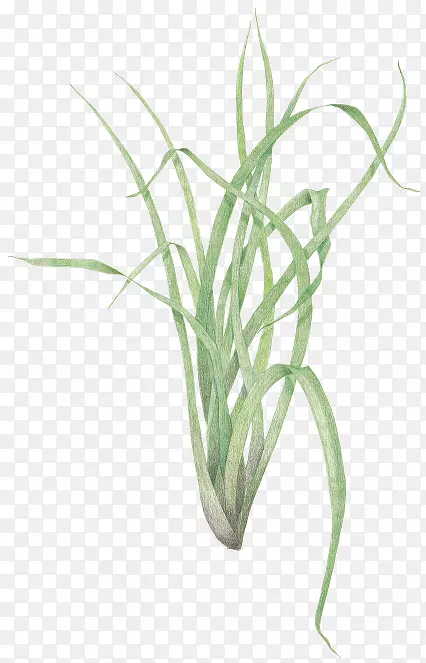 ��éֲ�ﷱֳ�ݱ�ֲ��-������