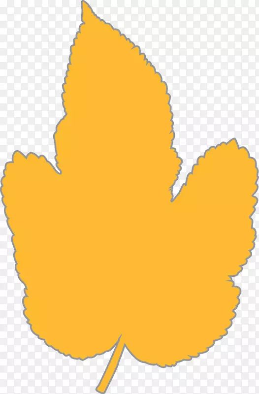 ����ֲ�������-������