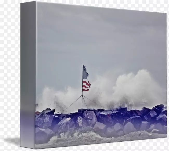 ���������plc-Erin Sanders-������