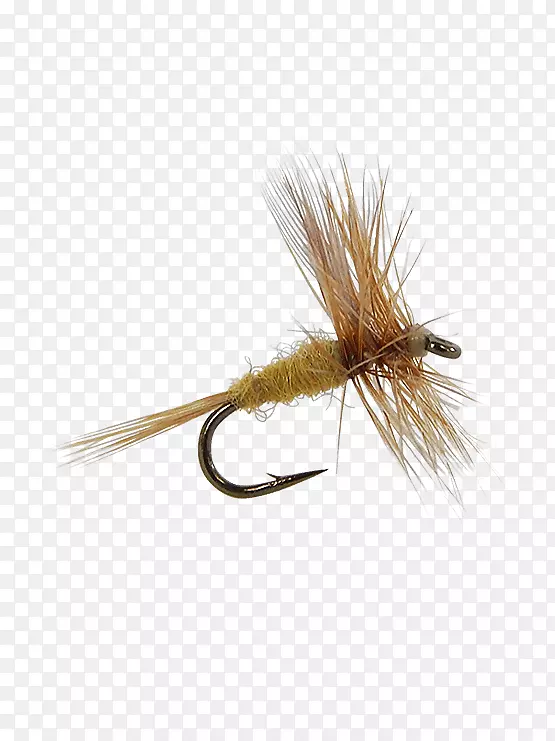 �����˹�Ӭϵ-������