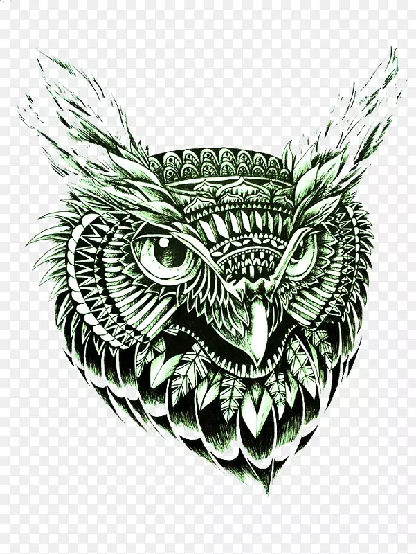 èͷӥ�ڰ׻���-��ɫèͷӥ-������