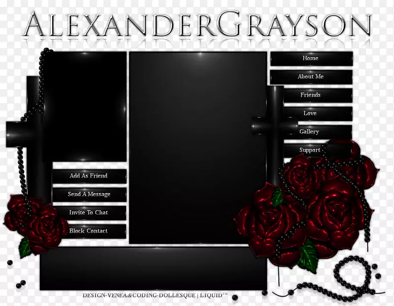 Ʒ�ƶ�ý���װ�ʸ�-������