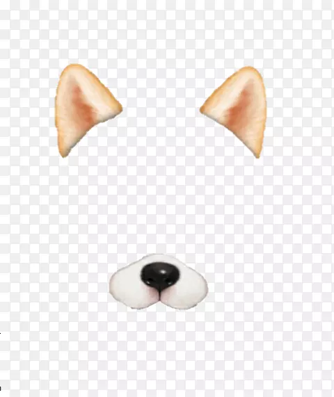 ��������-����-������