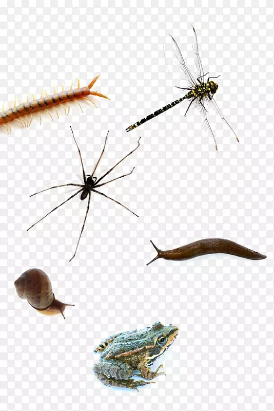 ������������-������-������