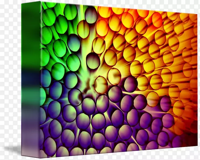 �Գ��л�Ȧ�ۺ���ͼ��-̼���׹�-������