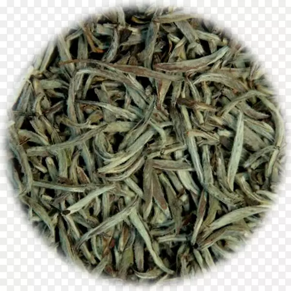 �׺������˿���-��-������