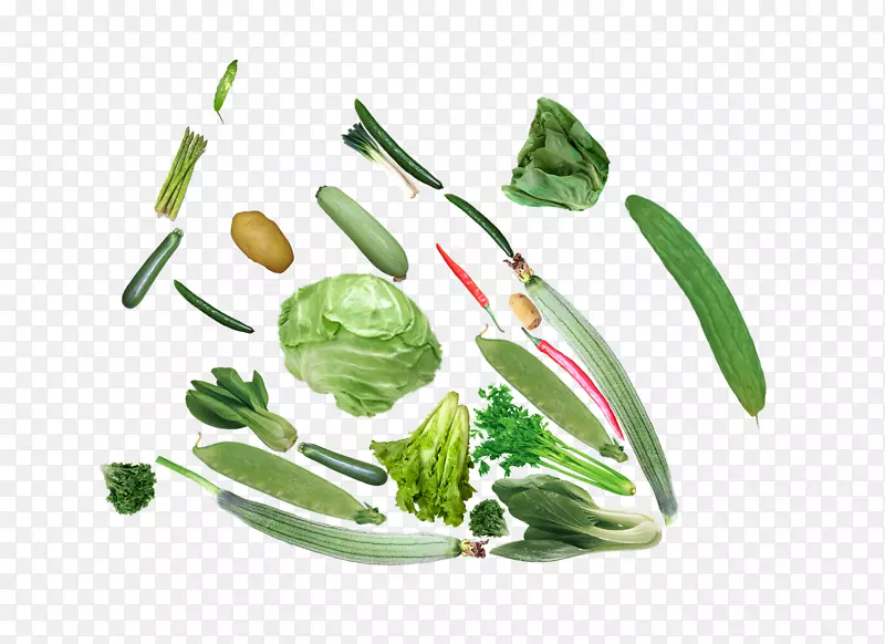 ����԰����-�߲�-������