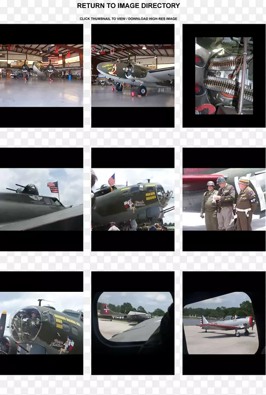 �������ոܽ����ͽγ�����������-����-������