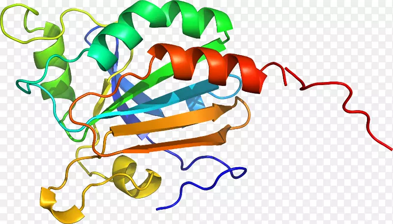 �ߵ������������-������