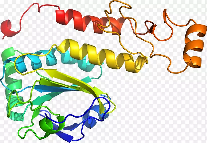 ���������л����߼�������-������